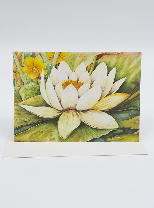 Wenskaart witte waterlelie condoleance
