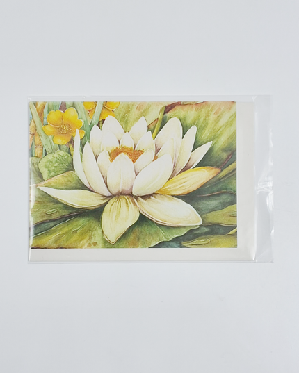 Wenskaart witte waterlelie condoleance