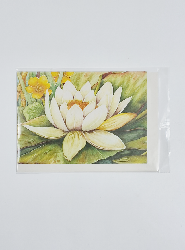 Wenskaart witte waterlelie condoleance