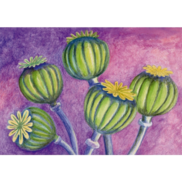 Wenskaart papaverbollen condoleance