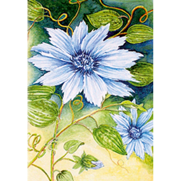 Wenskaart clemantis Jan