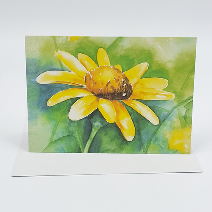 Collection image for: SALES WHILE STOCKS LAST