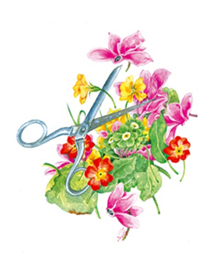 Wenskaart schaar cyclamen