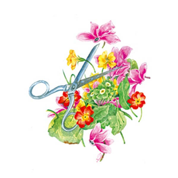 Wenskaart schaar cyclamen