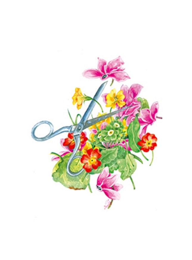 Greeting card scissors cyclamen