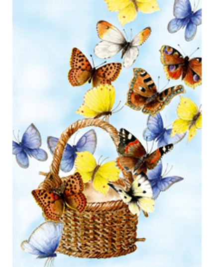 wenskaart mand vlinders