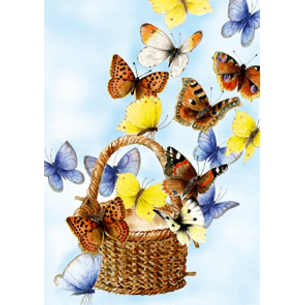 wenskaart mand vlinders