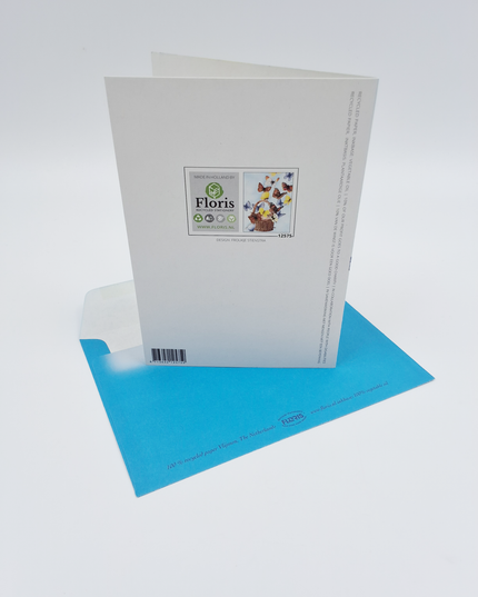 wenskaart mand vlinders