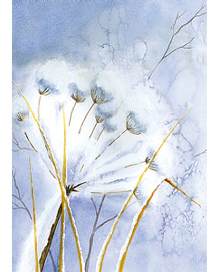 Wenskaart berenklauw sneeuw condoleance