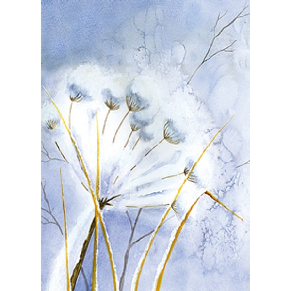 Wenskaart berenklauw sneeuw condoleance