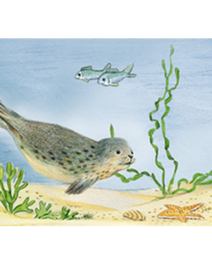 Wenskaart zeehond vissen