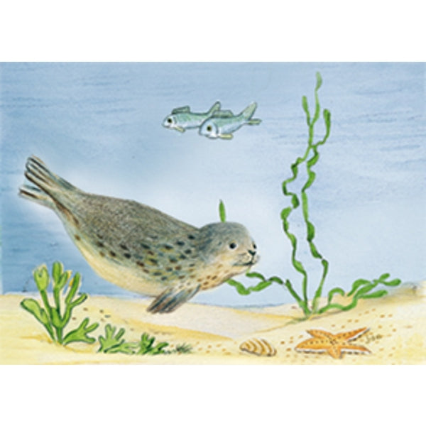 Wenskaart zeehond vissen