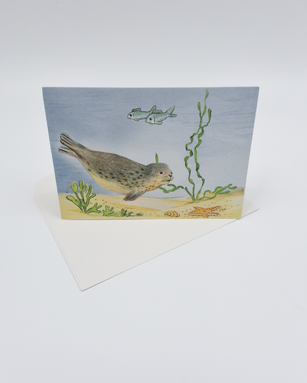 Wenskaart zeehond vissen