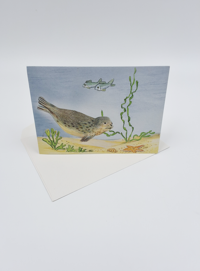 Wenskaart zeehond vissen