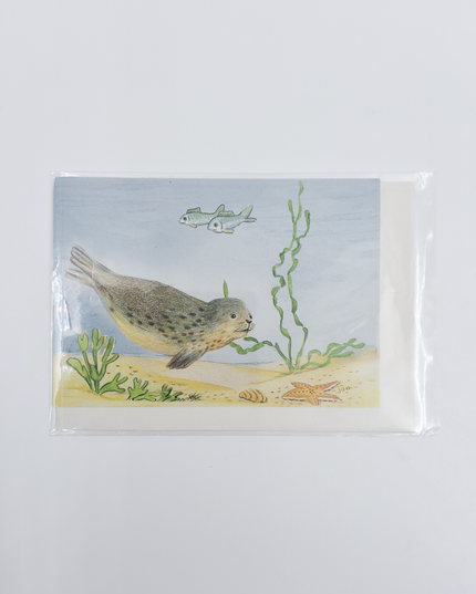 Wenskaart zeehond vissen