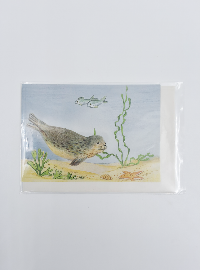 Wenskaart zeehond vissen