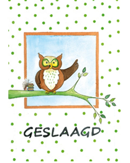 Wenskaart uil tak, geslaagd