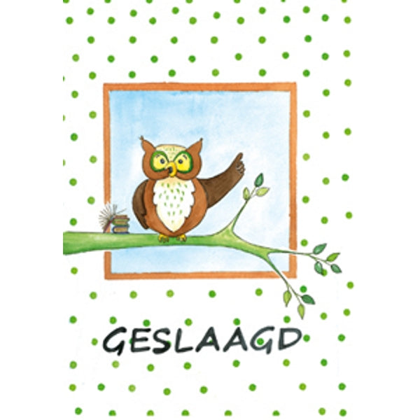 Wenskaart uil tak, geslaagd