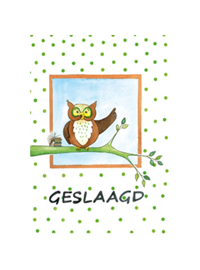 Wenskaart uil tak, geslaagd