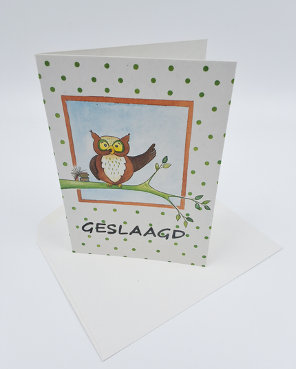 Wenskaart uil tak, geslaagd