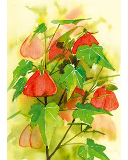 Wenskaart bloemen Abutilon