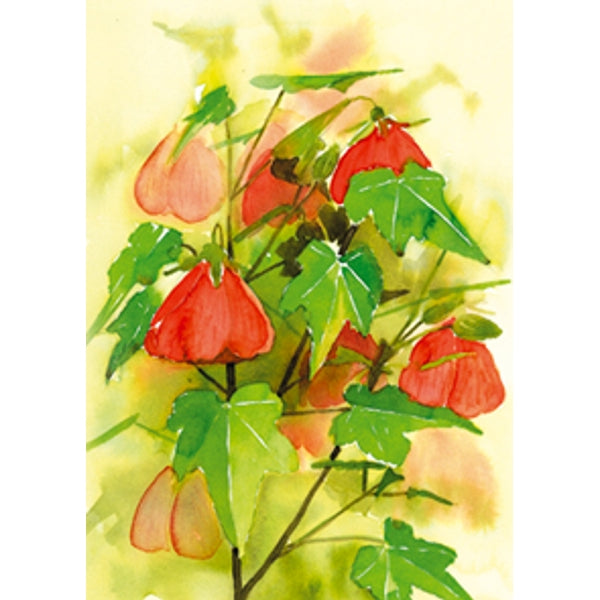Wenskaart bloemen Abutilon