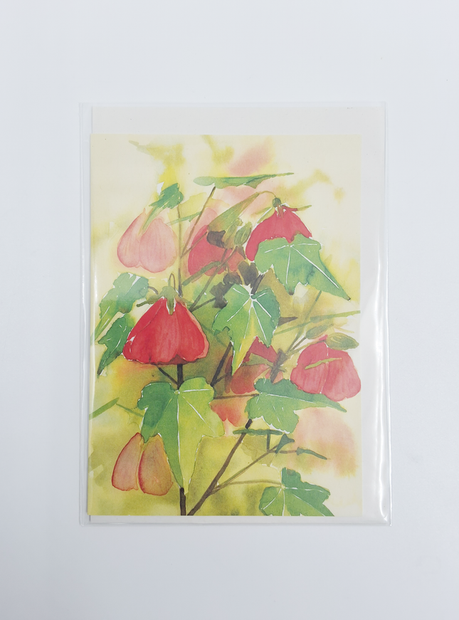 Wenskaart bloemen Abutilon