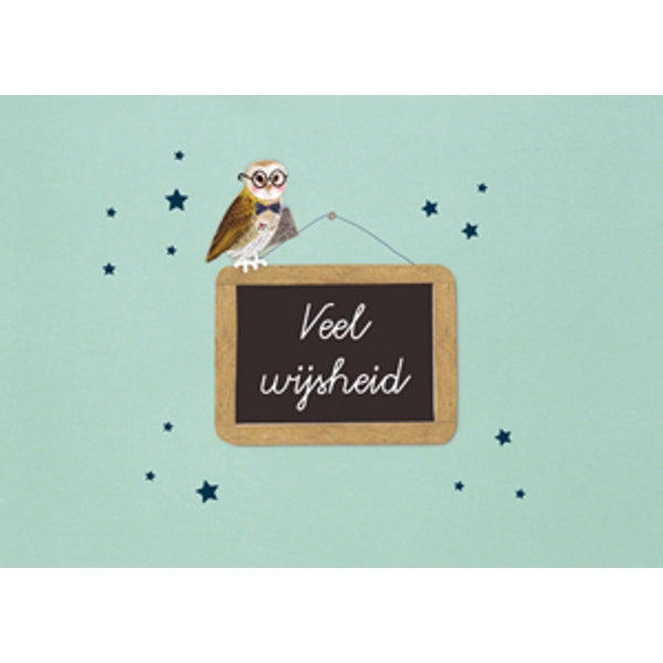 Wenskaart schoolbord, veel wijsheid