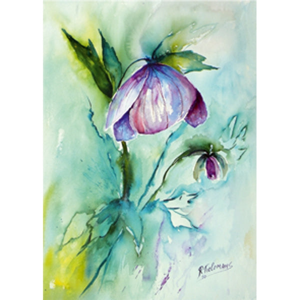 Wenskaart paarse helleborus