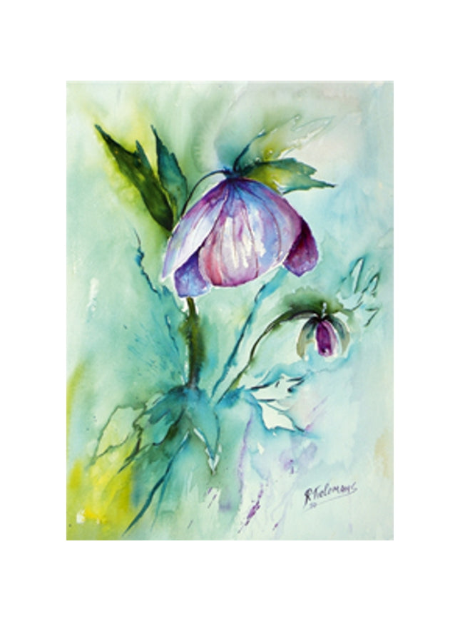 Purple helleborus greeting card