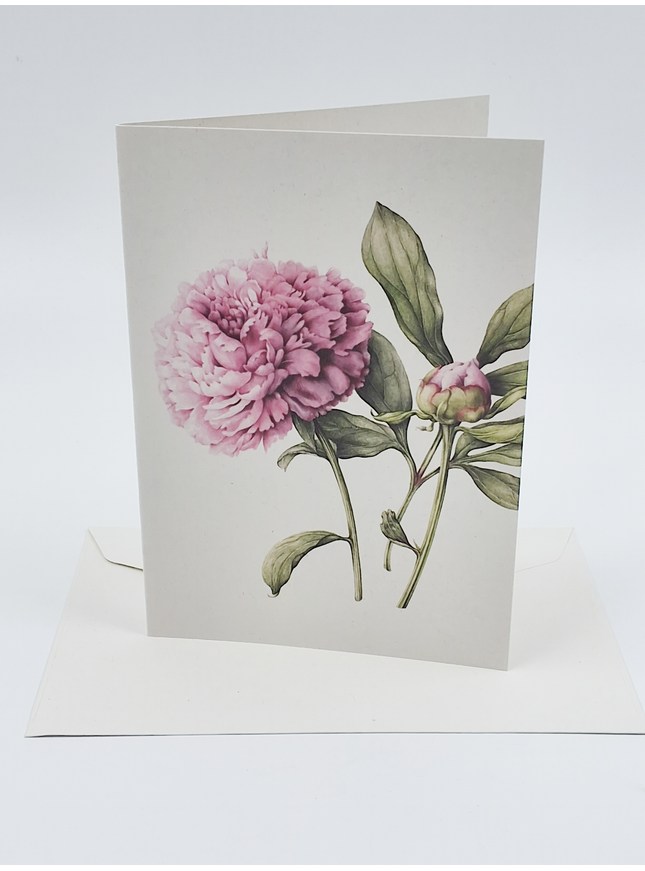 Peony greeting card