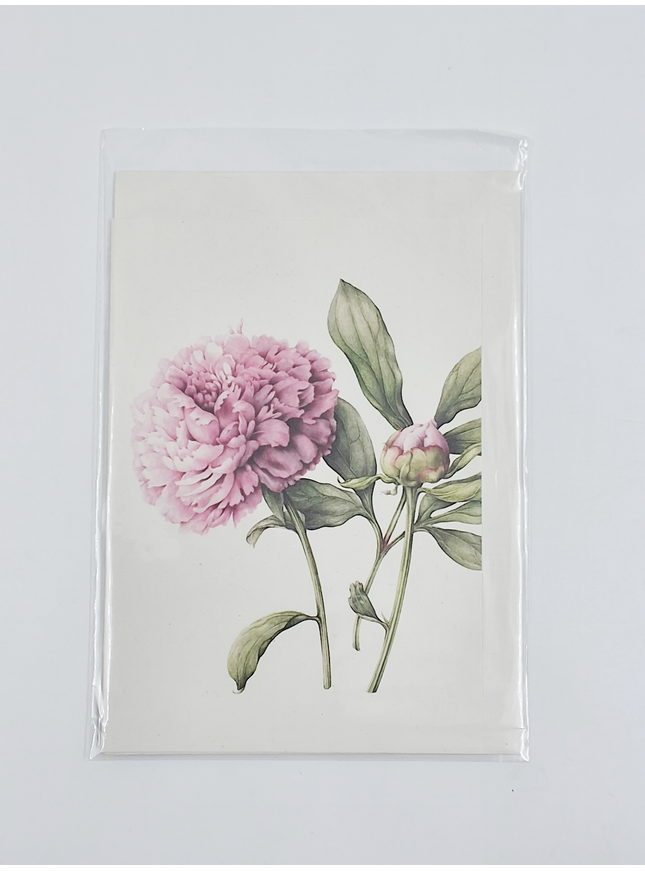 Peony greeting card