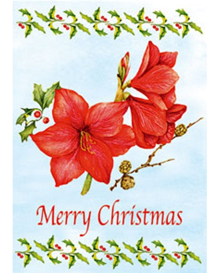 Wenskaart amarilles "Merry Christmas"