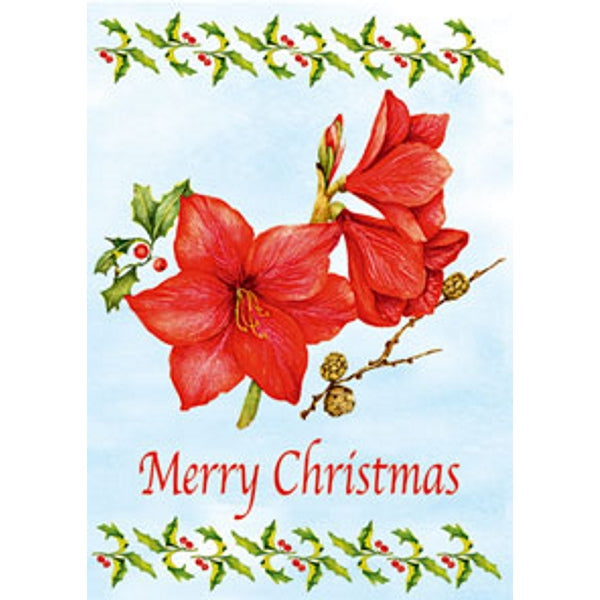 Wenskaart amarilles "Merry Christmas"