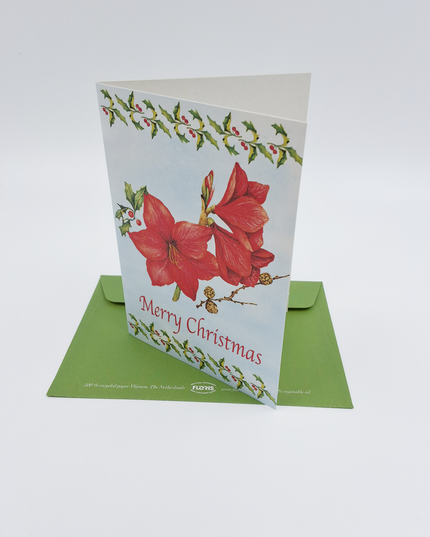 Wenskaart amarilles "Merry Christmas"