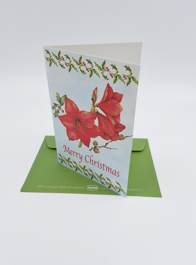 Wenskaart amarilles "Merry Christmas"