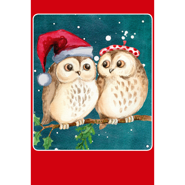 Kerstkaarten doosje 10x twee uilen