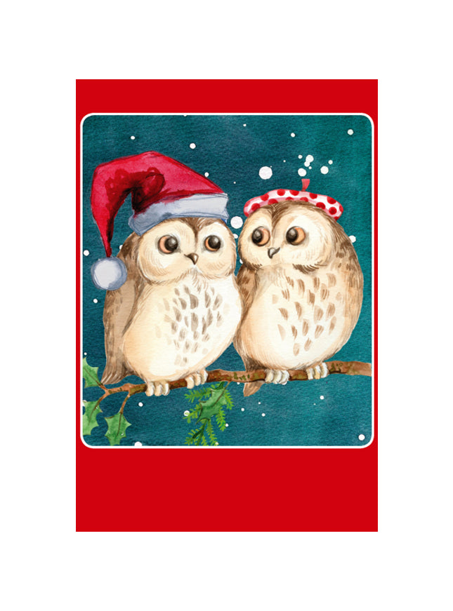 Kerstkaarten doosje 10x twee uilen