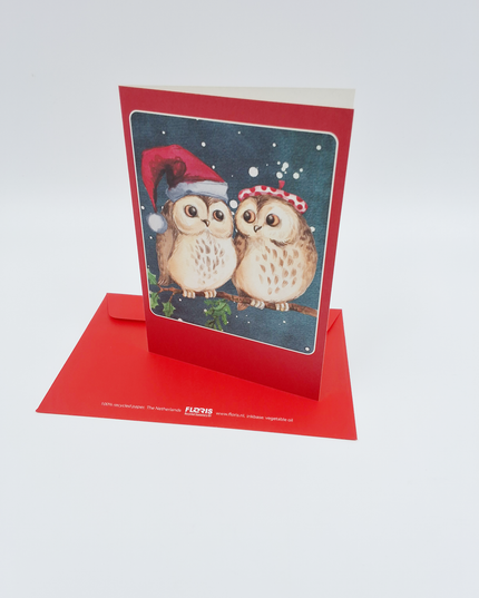 Kerstkaarten doosje 10x twee uilen
