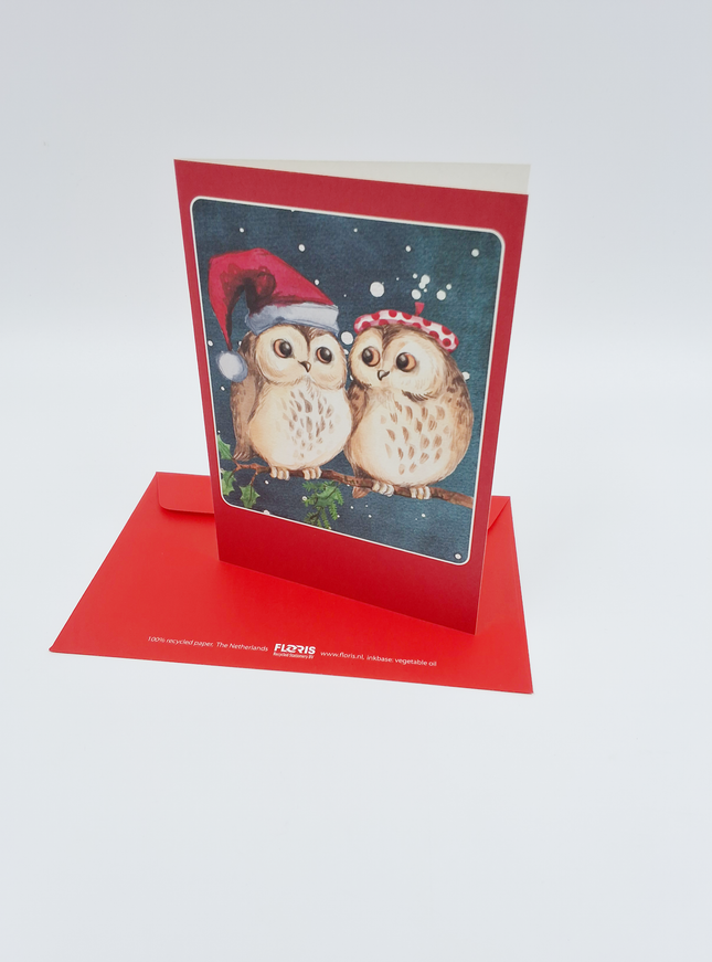 Kerstkaarten doosje 10x twee uilen
