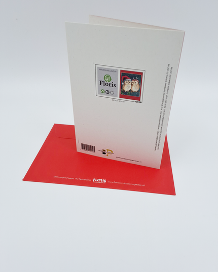 Kerstkaarten doosje 10x twee uilen