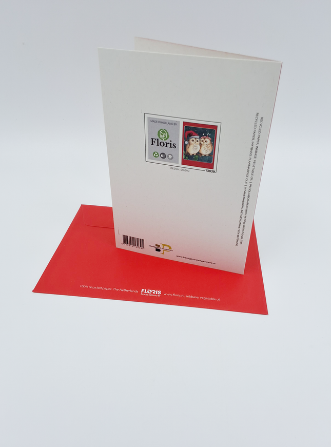 Kerstkaarten doosje 10x twee uilen