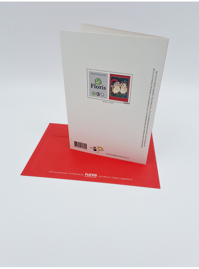 Kerstkaarten doosje 10x twee uilen