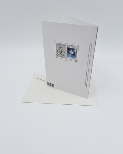 Wenskaart duif met sterren