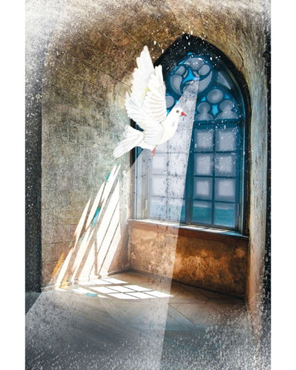 Wenskaart raam met duif