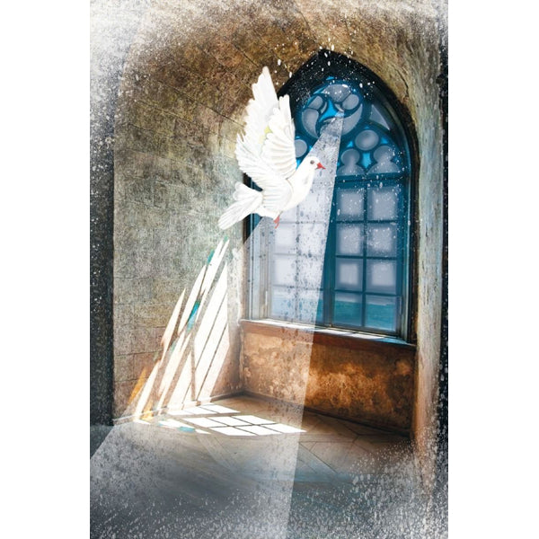 Wenskaart raam met duif