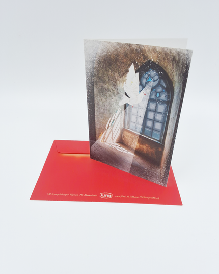 Wenskaart raam met duif