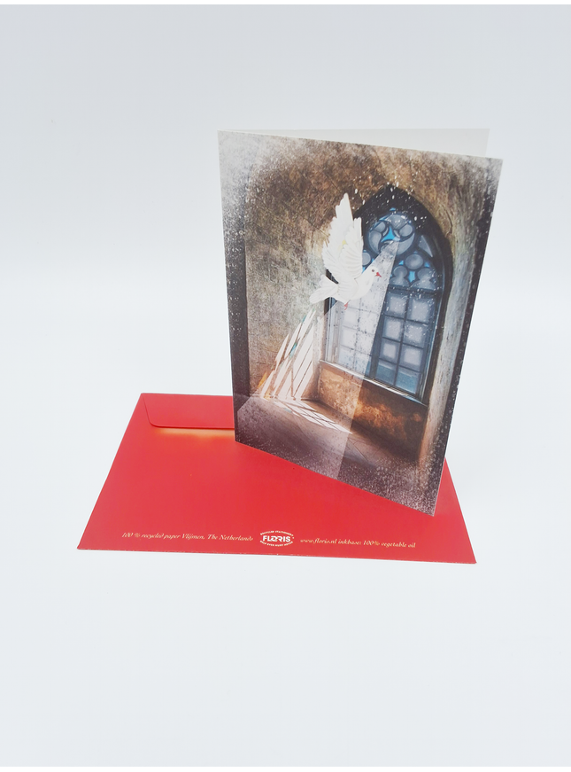 Greeting card window with dove