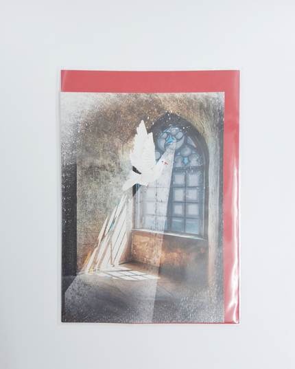 Wenskaart raam met duif