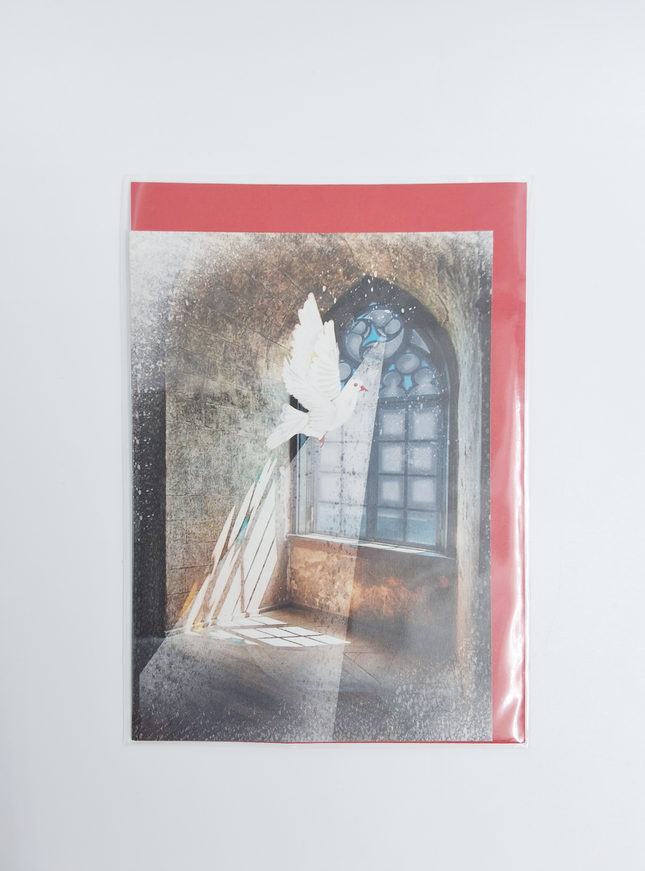 Wenskaart raam met duif